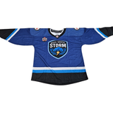 AAA Team Jersey - Storm