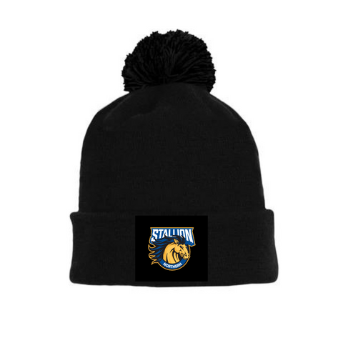 Tuque with Embroidered Logo - Stallions