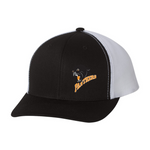 Embroidered Team Hat - Panthers