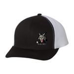 Embroidered Team Hat - Wolves