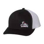 Embroidered Team Hat - Lions