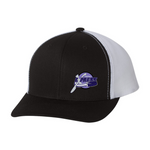 Embroidered Team Hat - Express