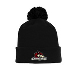 Tuque with Embroidered Logo - Coyotes