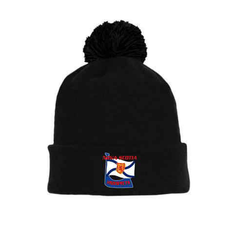 Tuque with Embroidered Logo - NS Prospects