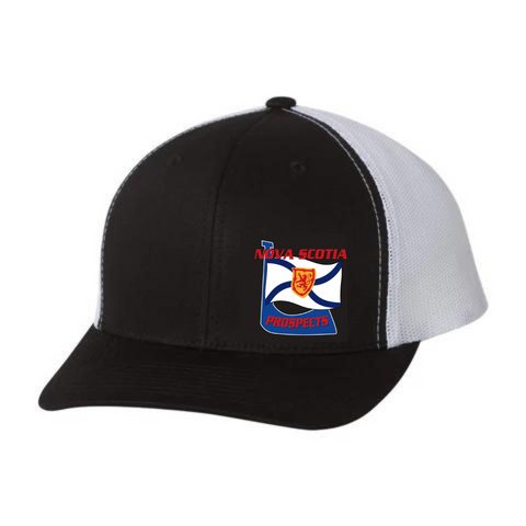 Embroidered Team Hat - NS Prospects